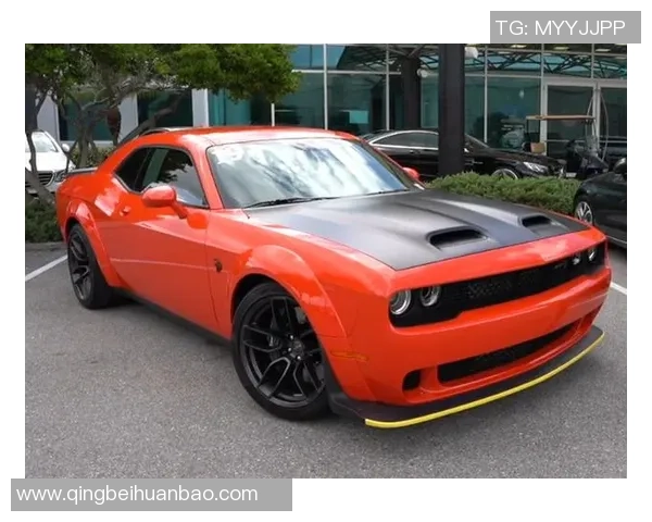 圣路易斯与内卡萨精彩对决直播全程回顾与分析